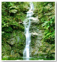 House for Rent or Sale Sell in Sangkhom 1